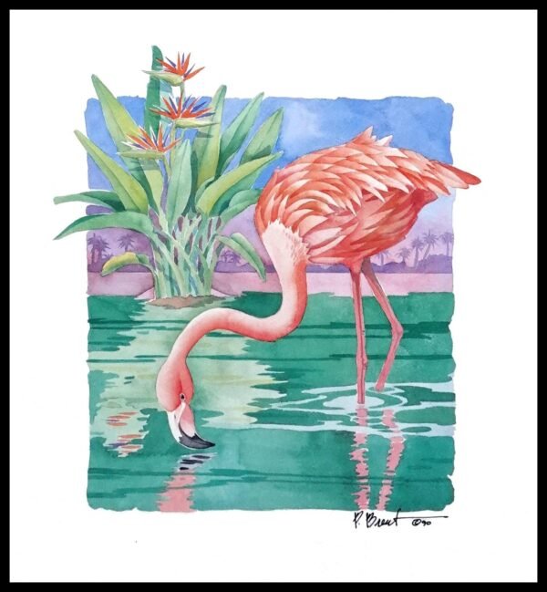 PBD 1138 Flamingo - Repose